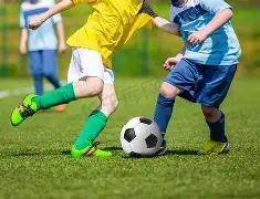 胜率分析,尼克斯,凯尔特人专,世界杯竞猜,2026世界杯,竞猜策略,赛事分析,实时更新